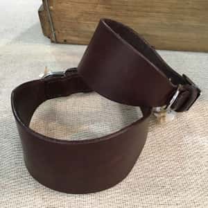 Leather greyhound dog collar