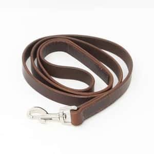 Leather dog lead