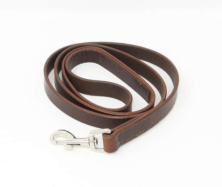 Plain leather dog lead coiled up
