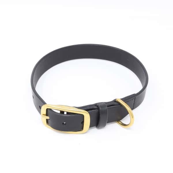 Plain black leather dog collar with brass buckle