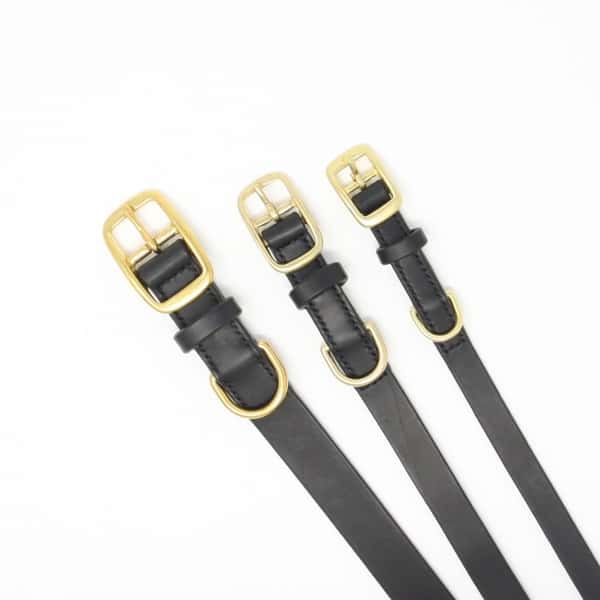 Photo showing relative sizes of brass buckles on plain black leather dog collars