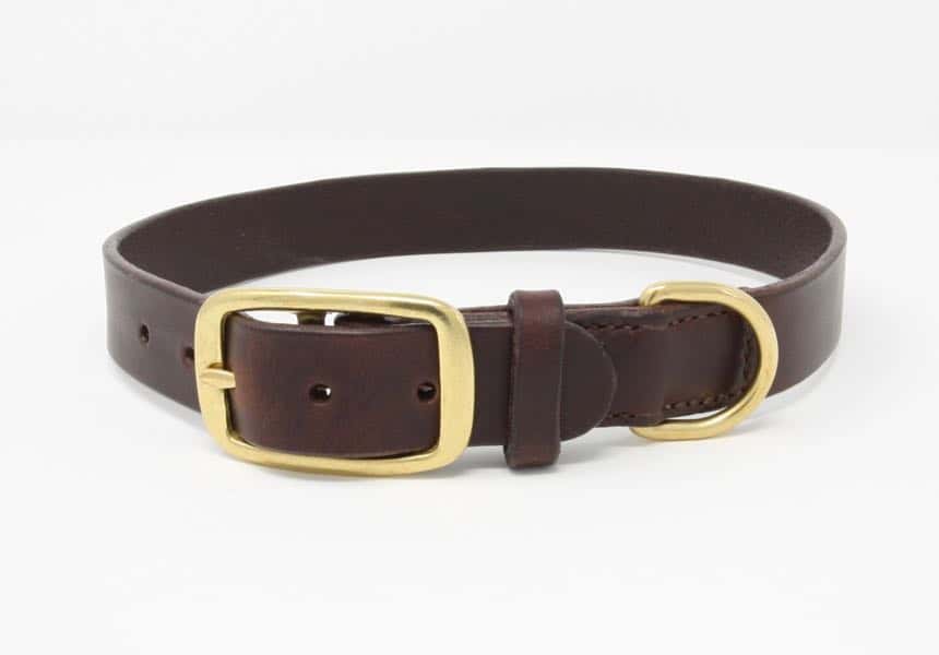 Plain leather dog collar with brass buckle