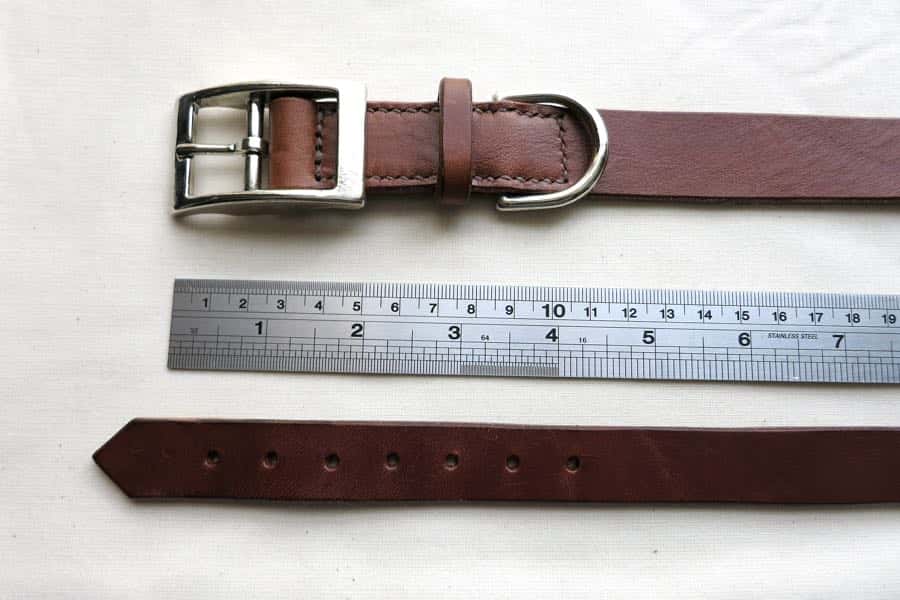 Plain leather dog collar with ruler for scale