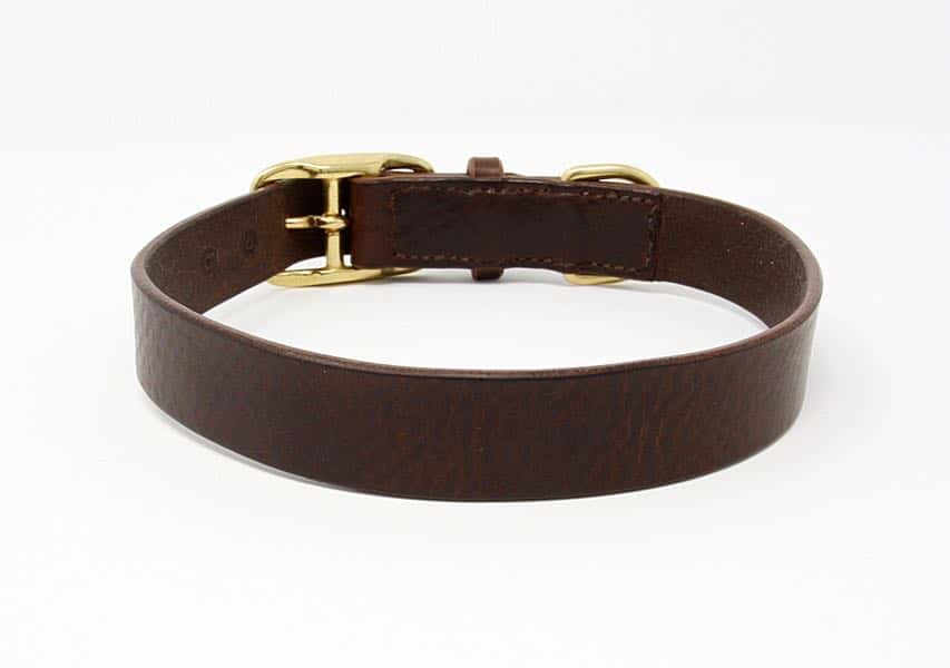 Rear of plain leather dog collar with brass buckle